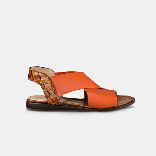 Flat Pirarucu e Elastano - Ferri São Paulo