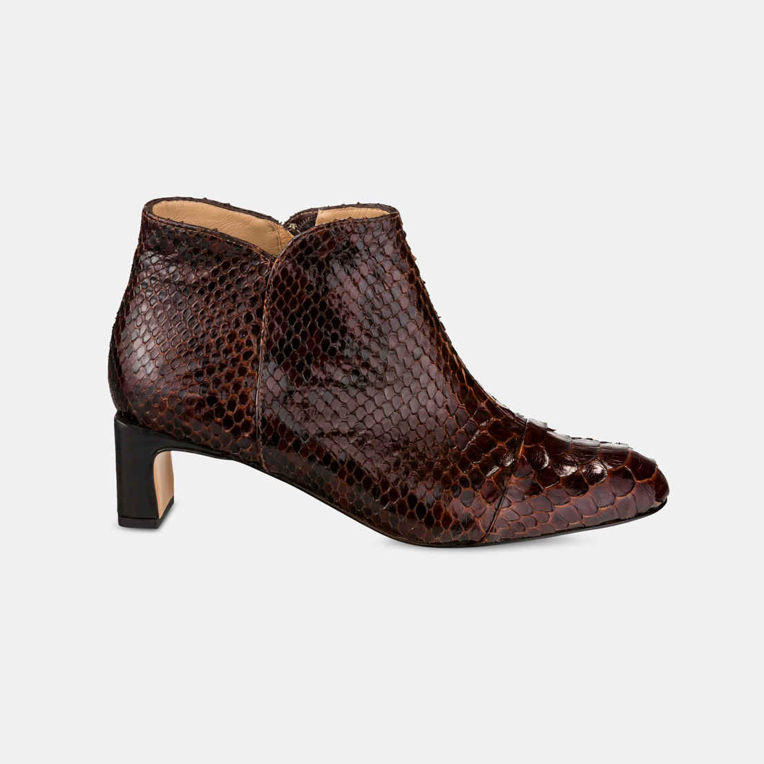 Bota Python Café